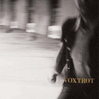 Honey Bee - Voxtrot