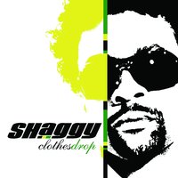 Letter To My Kids - Shaggy