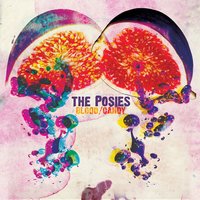The Glitter Prize - The Posies