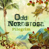 Min veg - Odd Nordstoga