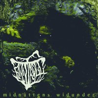 Midnattens Widunder - Finntroll