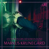 Fel på hjärnan - Markus Krunegård