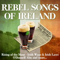 Foggy Dew - Cu Chulainn