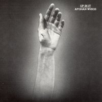 Hated - The Afghan Whigs