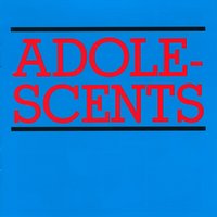 Democracy - Adolescents