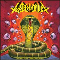 Silence - Toxic Holocaust