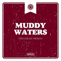 Country Blues No. 2 - Muddy Waters