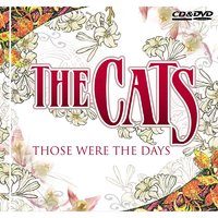 Don't Waste Your Time - The Cats