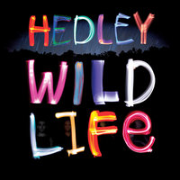 Heaven In Our Headlights - Hedley