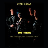 He Said She Said - Vice Squad