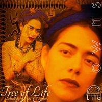 Semilla De Piedra - Lila Downs