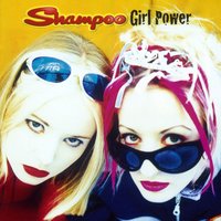 News Flash - Shampoo