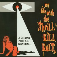 Dope Doll Jungle - My Life With The Thrill Kill Kult