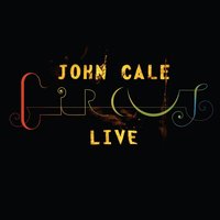 Venus In Furs - John Cale