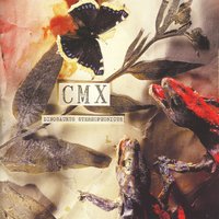 Suurta Yötä Päin - Cmx