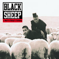 Pass The 40 - Black Sheep