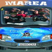 Paloma que pierde el vuelo - Marea