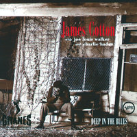 Strange Things Happen - James Cotton