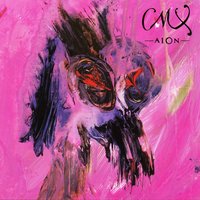 Nahkasiipi - Cmx