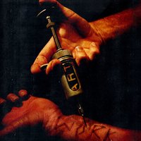 Born to Quit - The Used