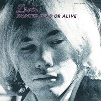 Calcutta - Warren Zevon