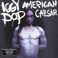 Social Life - Iggy Pop