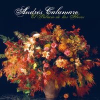 Contigo aprendí - Andrés Calamaro