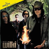 Ksiega Przemian - Wilki