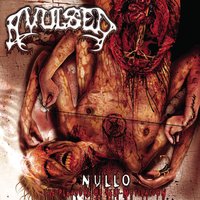 Maggotfilled - Avulsed
