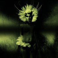 The Healing - UNKLE, Gavin Clark
