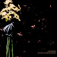 The Great Decay - Cursive
