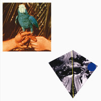 Truth Lies Low - Andrew Bird