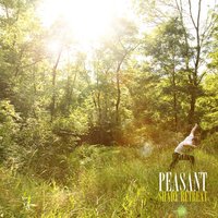 Hard Times - Peasant