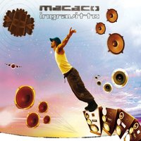 Ingravitto - Macaco