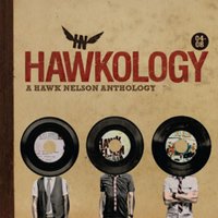 You Have What I Need - Hawk Nelson