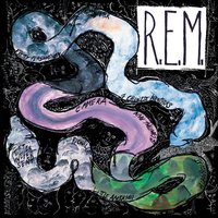 7 Chinese Bros. - R.E.M.