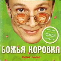 Теплоход - Божья Коровка
