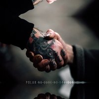 Destroy - Polar.