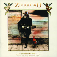 Così Celeste - Zucchero