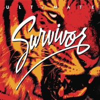 Man Against the World - Survivor