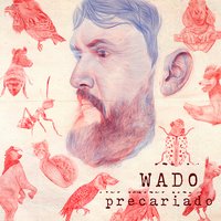 Tudo Salta - WADO, Momo