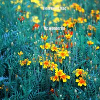 Stop Messin Round - Fleetwood Mac
