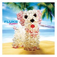 Electric Blue - Fluke