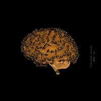 Pure - Kojey Radical, Kwame 'Kz' Kwei-Armah