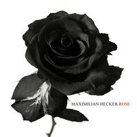 Fool - Maximilian Hecker