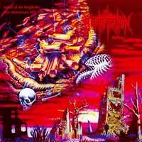 Nocturnel - Mortification
