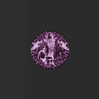 Great Violence - Igneon System, Lowroller