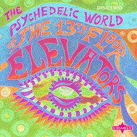 Kingdom Of Heaven - Live - The 13th Floor Elevators