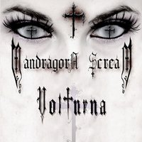 The Circus - Mandragora Scream
