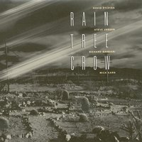 Rain Tree Crow - Rain Tree Crow